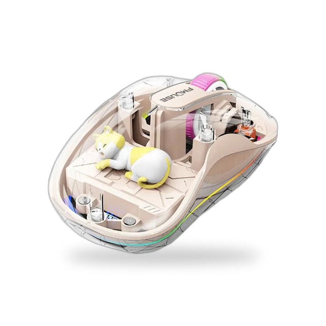 Souris transparente lumineuse